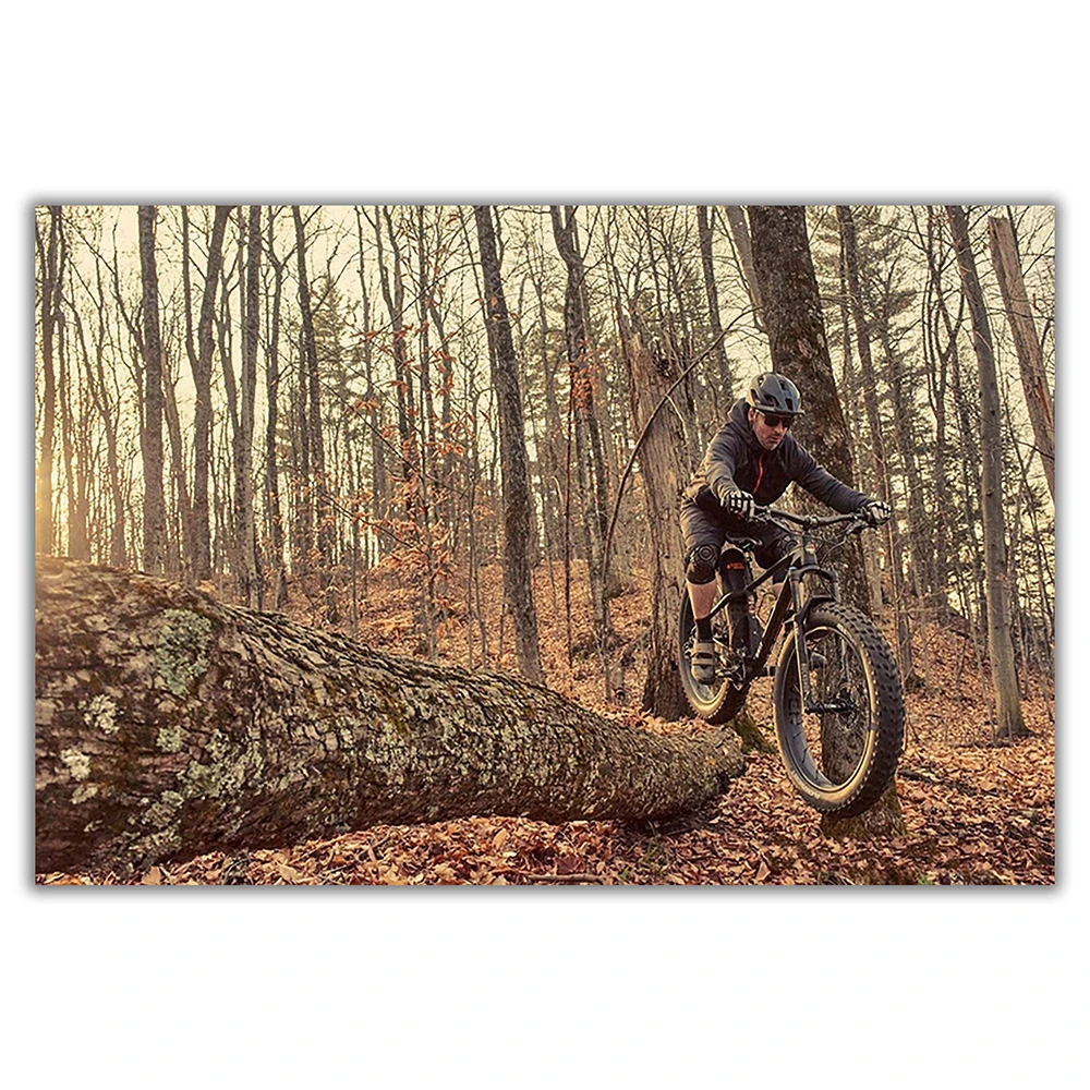SP082 İpek Kumaş Duvar Posteri - Mountain Biking Movies incelemesi ve fiyatı